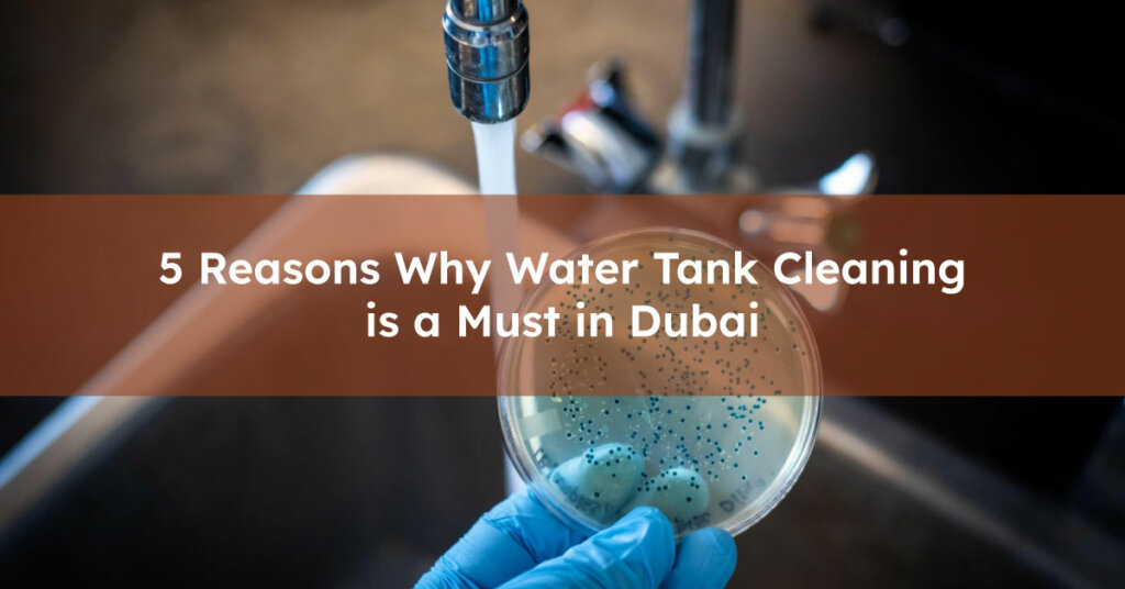 Reasons Why Water Tank Cleaning is a Must in Dubai